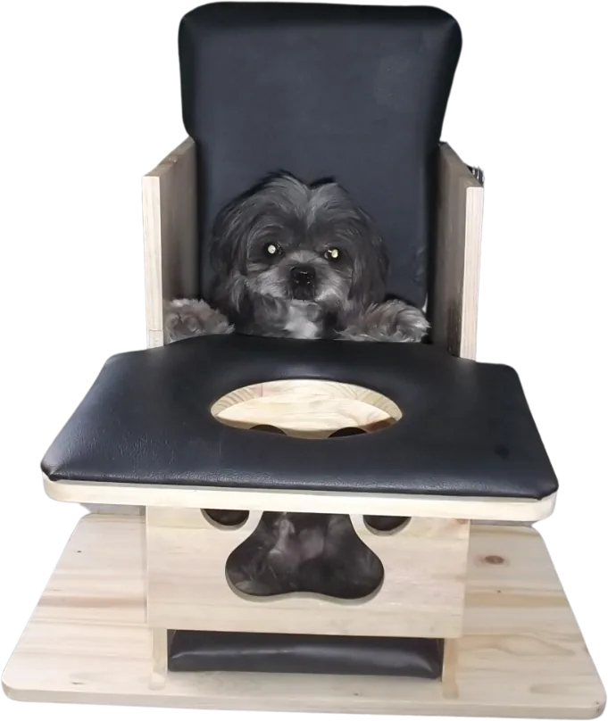 Dog Chair