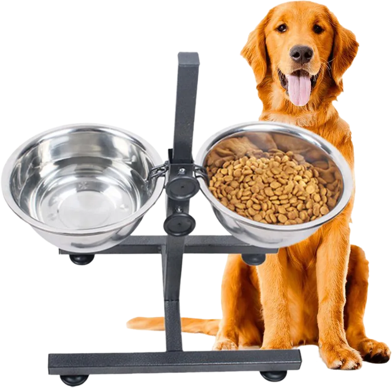 Dog Food Holder